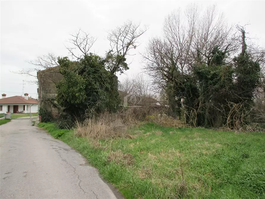 Immagine 5 di Rustico / casale in vendita  a Suzzara