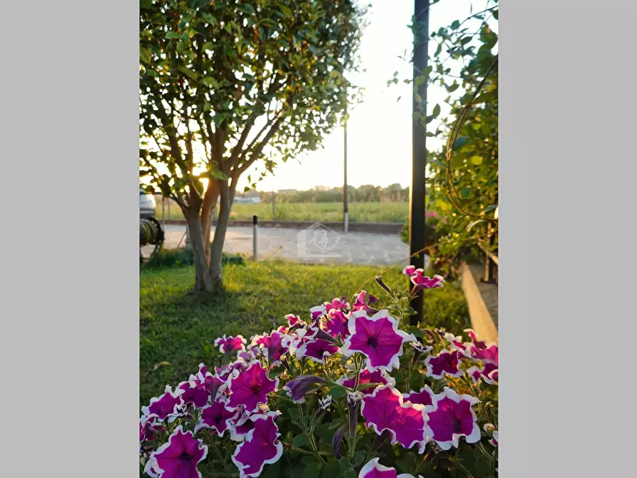 Immagine 27 di Casa bifamiliare in vendita  a Suzzara