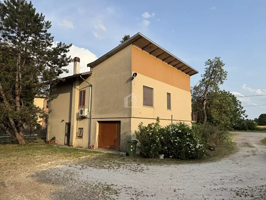 Immagine 2 di Casa indipendente in vendita  a Suzzara