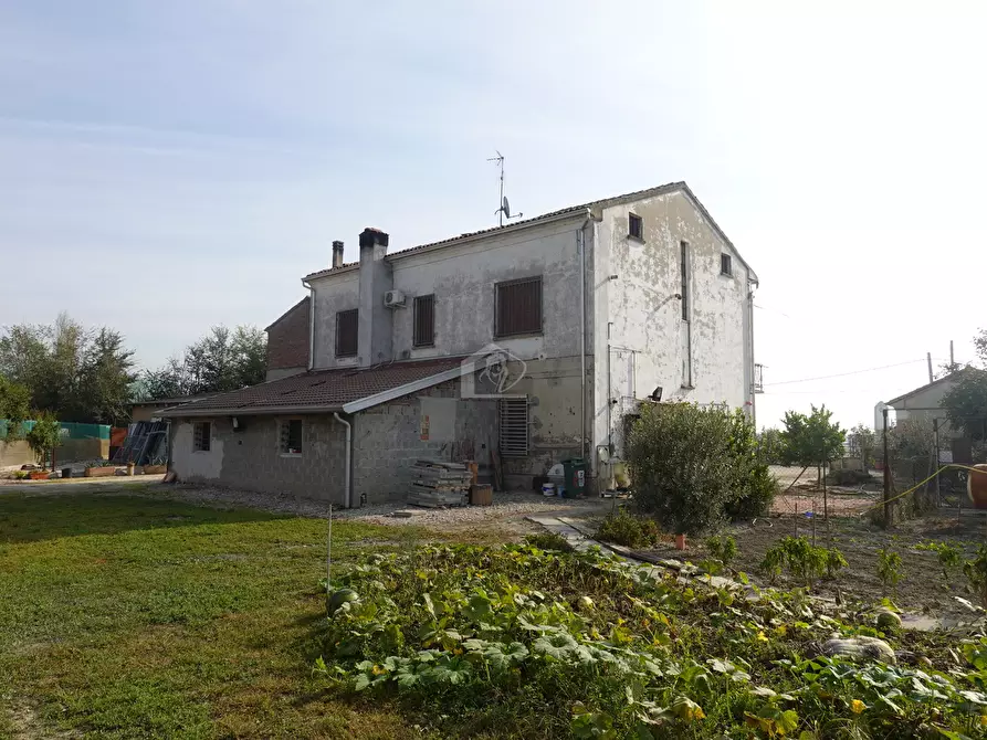 Immagine 8 di Rustico / casale in vendita  a Suzzara