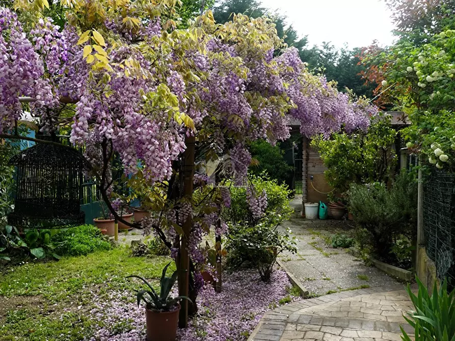 Immagine 19 di Appartamento in vendita  a Suzzara