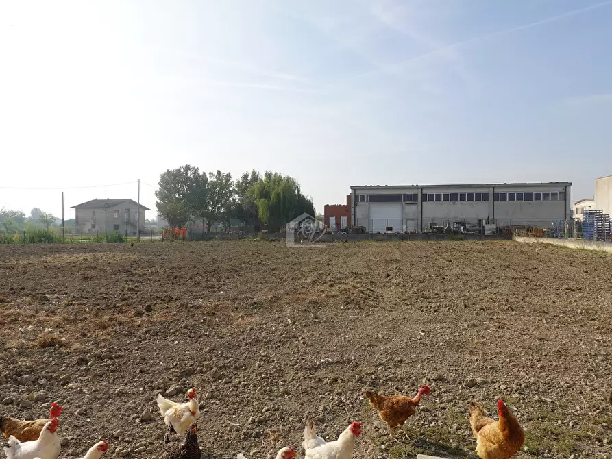 Immagine 6 di Rustico / casale in vendita  a Suzzara