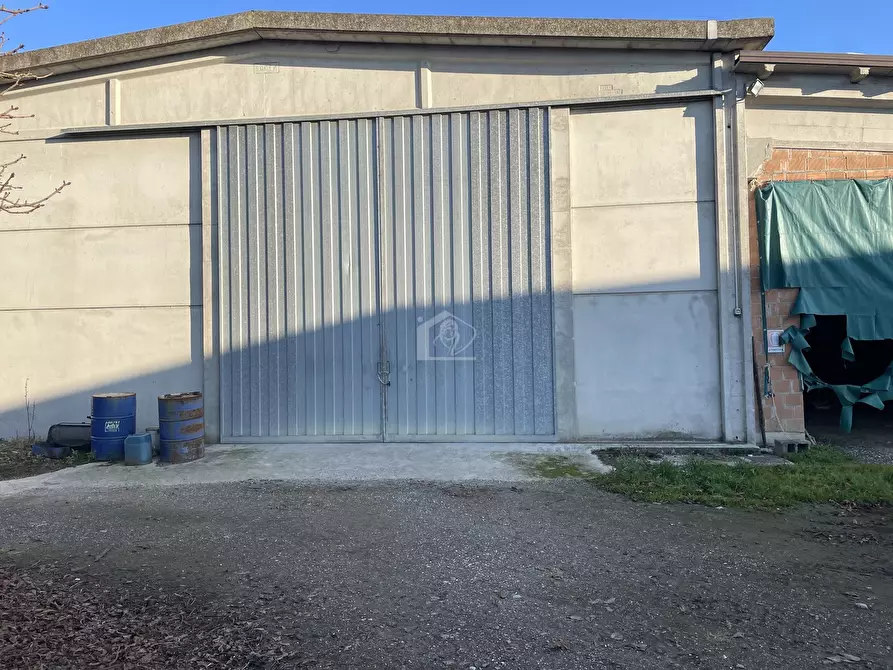 Immagine 4 di Azienda agricola in vendita  a Luzzara