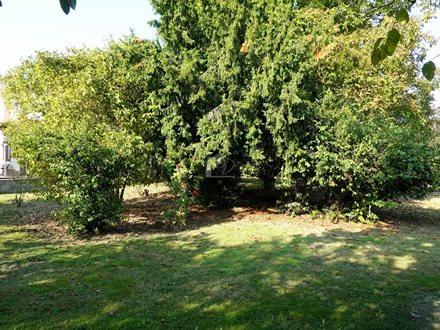 Immagine 8 di Casa indipendente in vendita  a San Benedetto Po