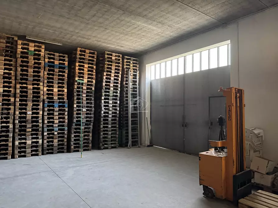 Immagine 10 di Casa indipendente in vendita  a Suzzara