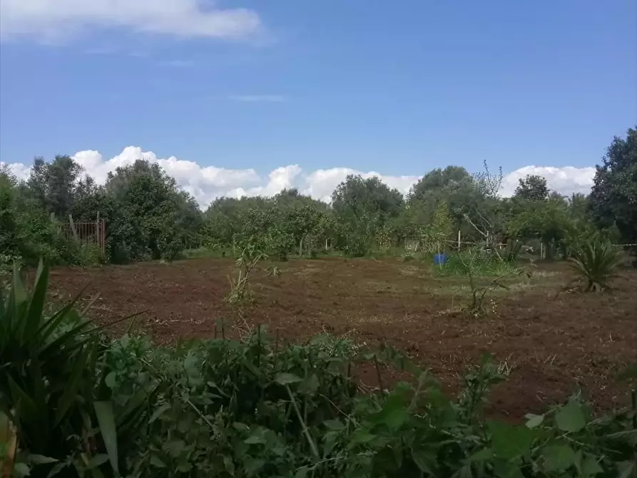 Terreno edificabile in vendita in via del quirinale a Taurianova