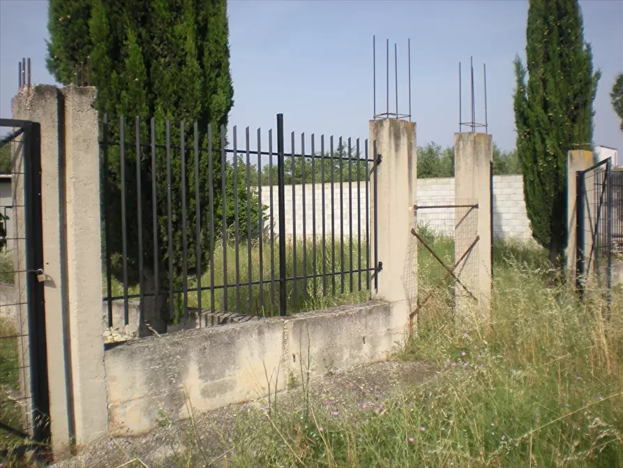 Immagine 1 di Terreno edificabile in vendita  in Via Torre Quarto a Cerignola