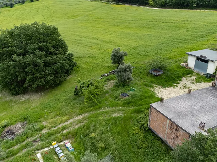 Immagine 16 di Terreno agricolo in vendita  a Bucchianico