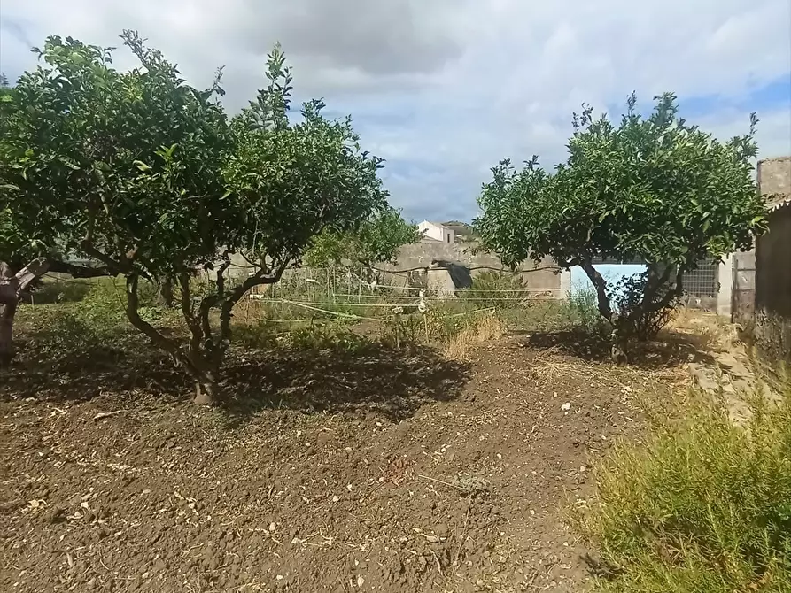 Immagine 9 di Casa indipendente in vendita  a Valderice