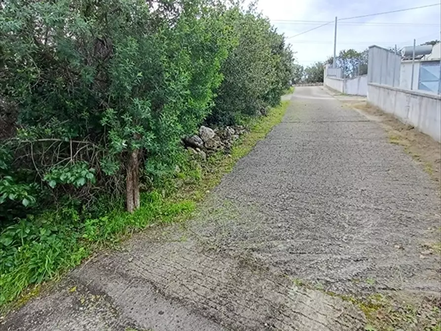 Immagine 2 di Terreno agricolo in vendita  in Zipirianu Località Ledò a Tissi
