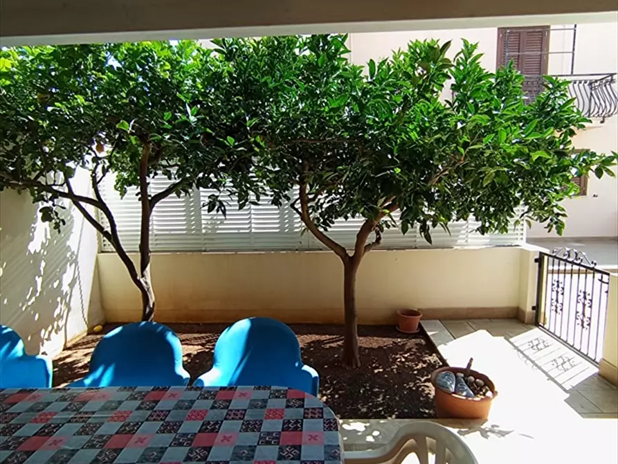 Immagine 12 di Casa indipendente in vendita  a San Vito Lo Capo