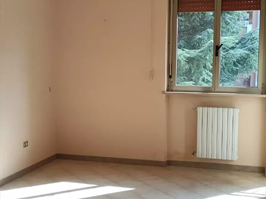 Immagine 3 di Appartamento in vendita  a Cerignola