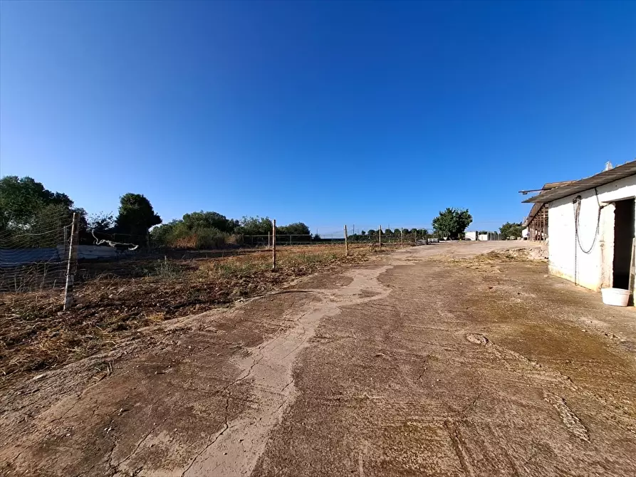 Immagine 6 di Casa indipendente in vendita  in Contrada Putignano 80 a Conversano