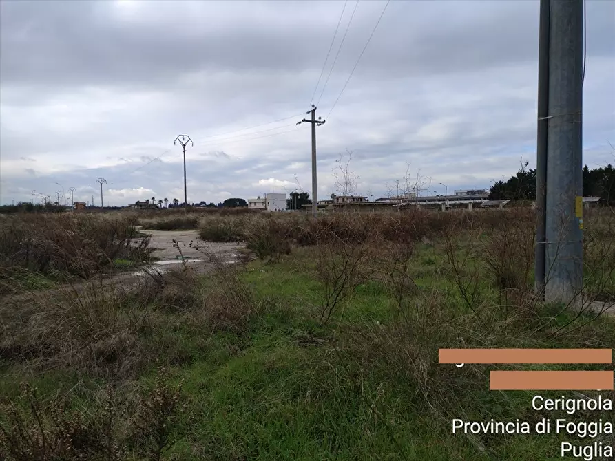 Immagine 1 di Terreno agricolo in vendita  in CONTRADA  FORNACI  a Cerignola