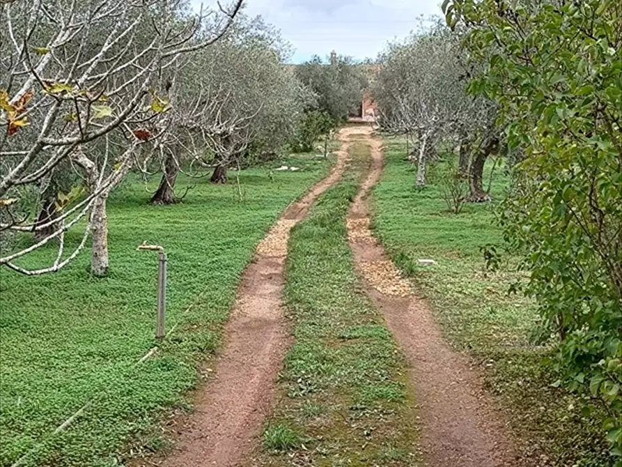 Immagine 6 di Casa indipendente in vendita  in Strada Vicinale Santa Maria di Lu Gardu n. 30/A a Sassari