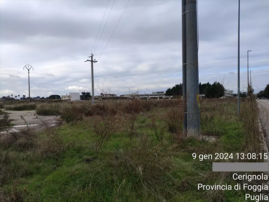 Immagine 2 di Terreno agricolo in vendita  in CONTRADA  FORNACI  a Cerignola