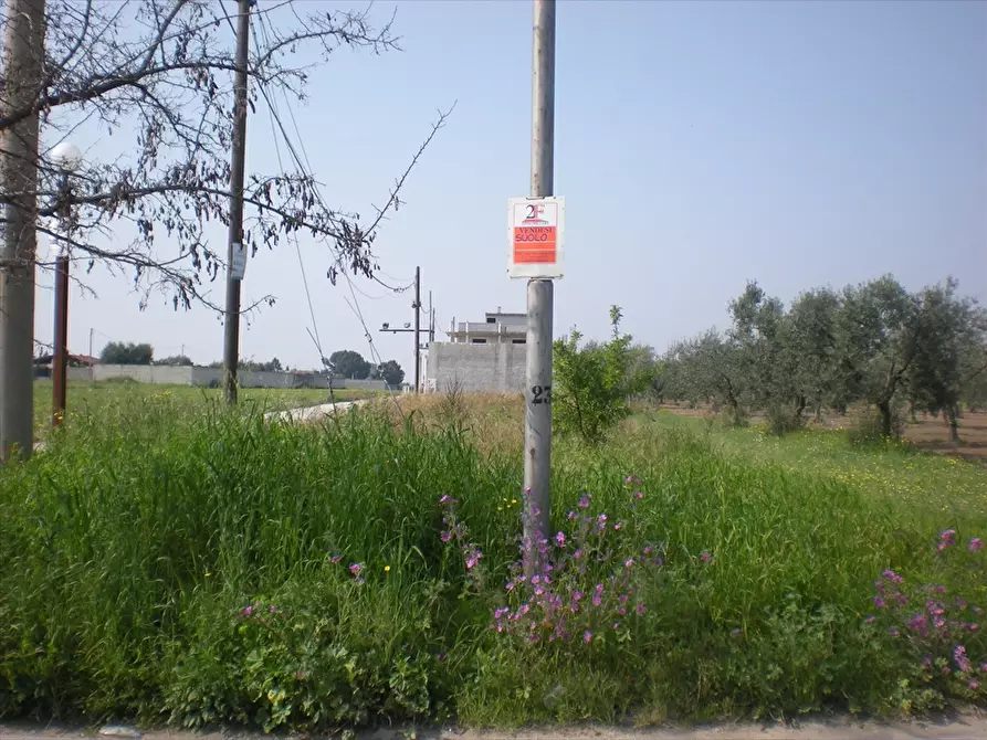 Immagine 2 di Terreno agricolo in vendita  a Cerignola