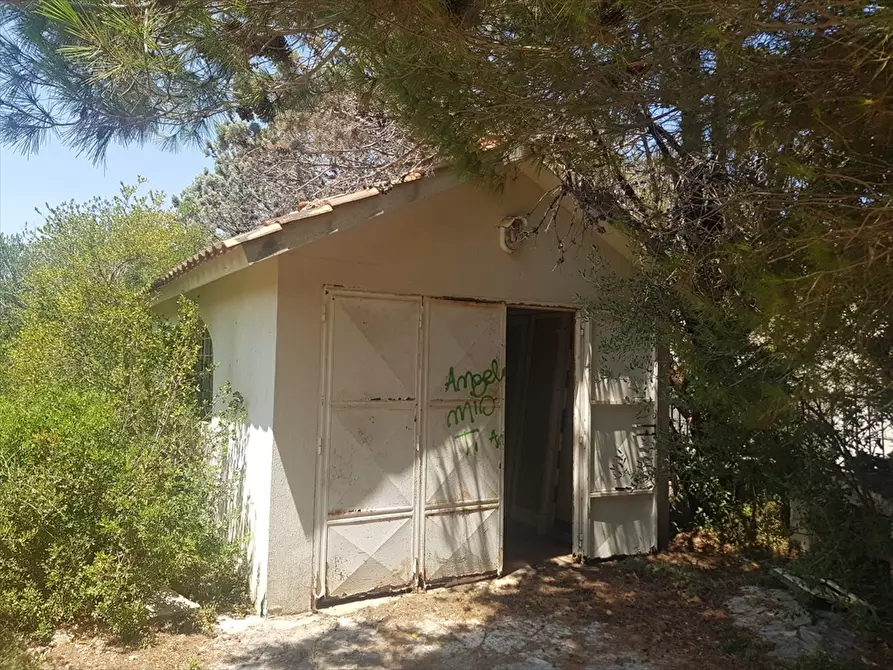 Immagine 17 di Villa in vendita  in Rosa Marina Via Jasmine 13 a Ostuni