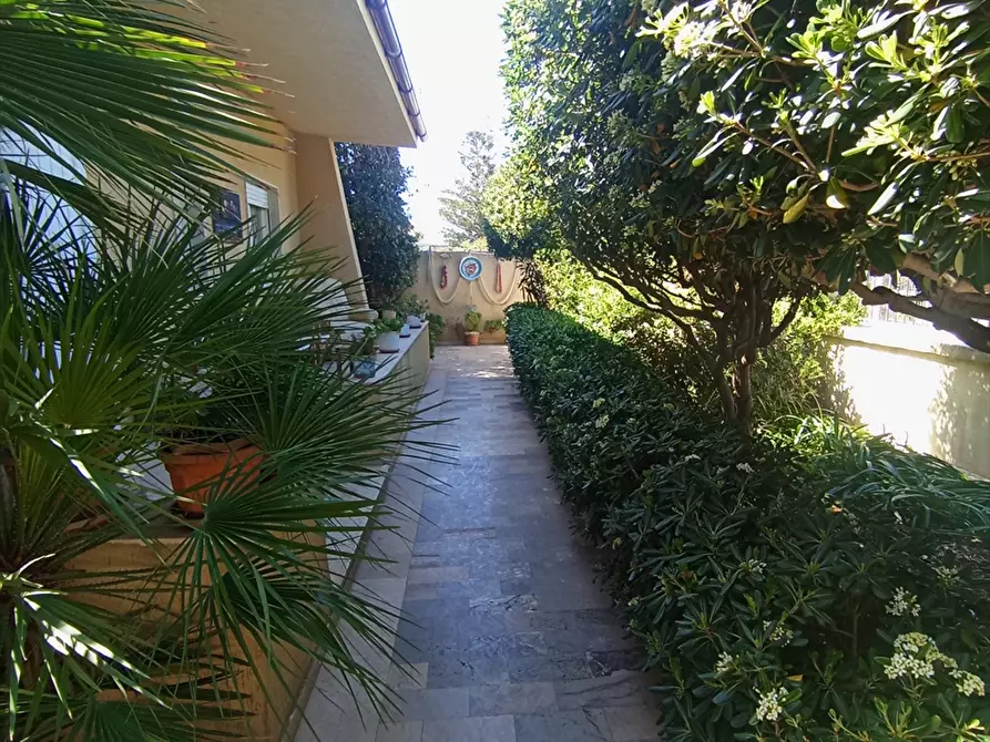 Immagine 2 di Casa indipendente in vendita  a Erice
