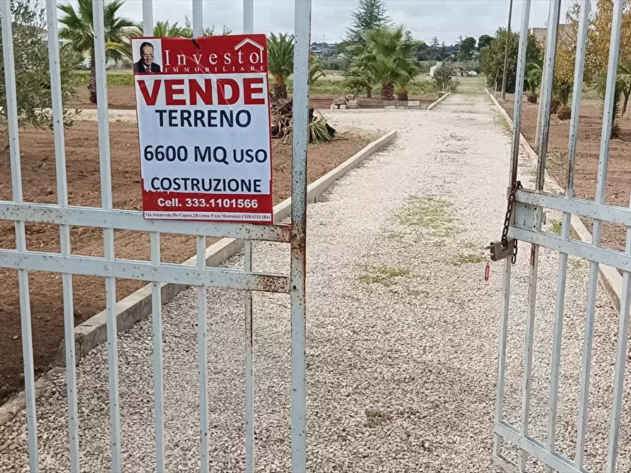 Immagine 1 di Terreno residenziale in vendita  a Corato