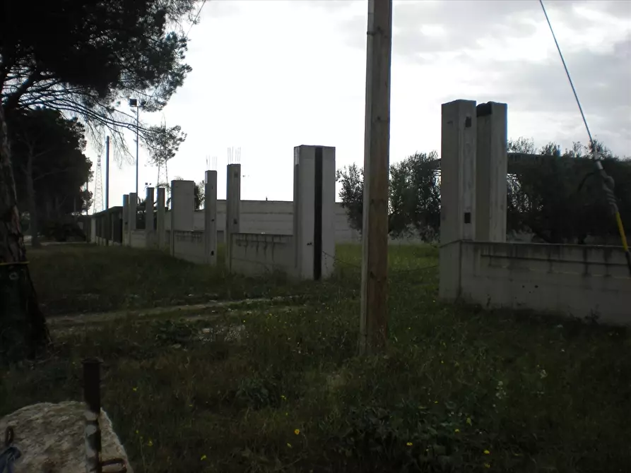 Immagine 2 di Terreno agricolo in vendita  a Cerignola