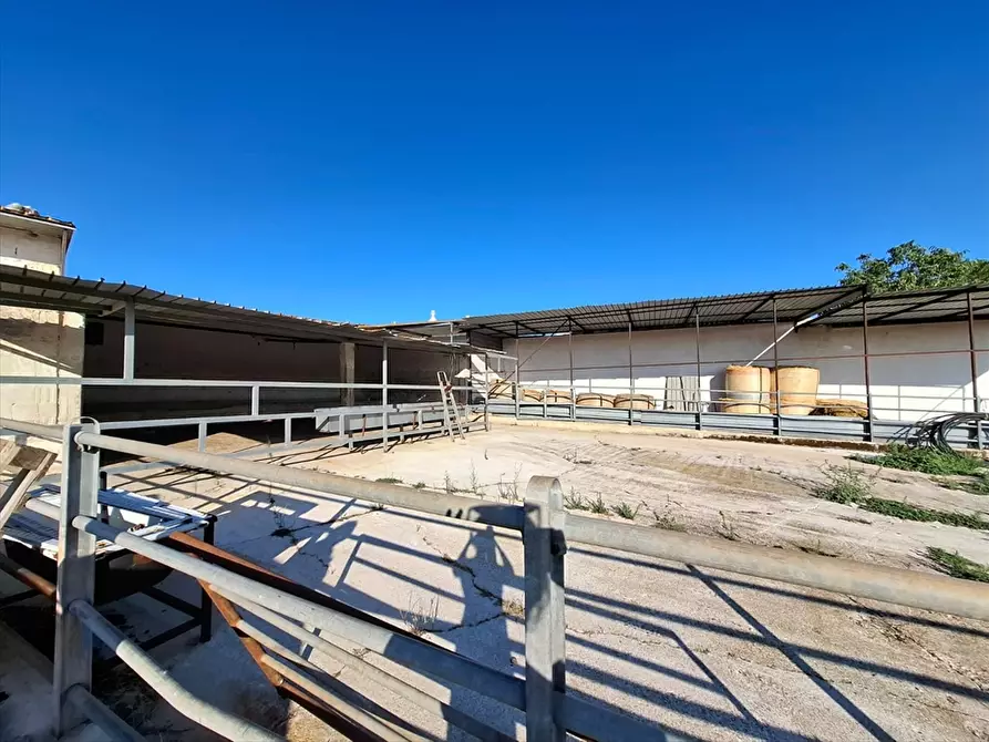 Immagine 9 di Casa indipendente in vendita  in Contrada Putignano 80 a Conversano