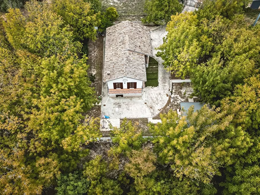 Immagine 2 di Villa in vendita  in Via Santo Stefano a Ripa Teatina