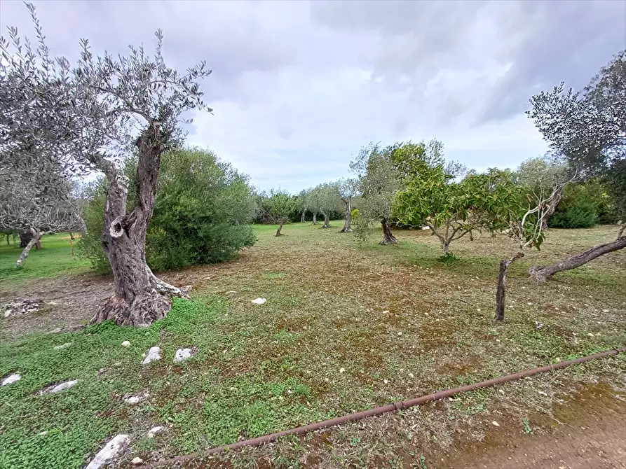 Immagine 10 di Casa indipendente in vendita  in Strada Vicinale Santa Maria di Lu Gardu n. 30/A a Sassari