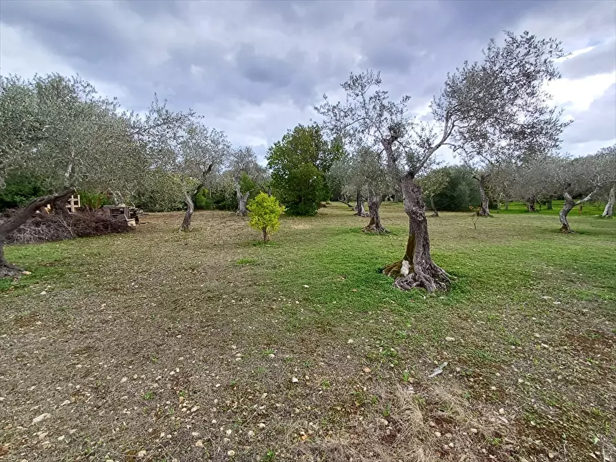 Immagine 20 di Casa indipendente in vendita  in Strada Vicinale Santa Maria di Lu Gardu n. 30/A a Sassari