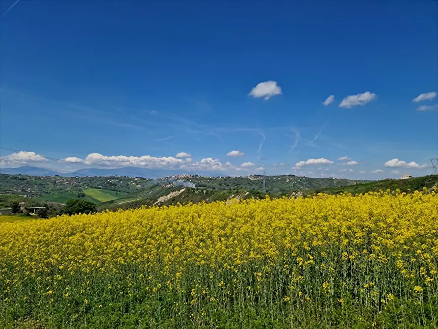 Immagine 25 di Terreno agricolo in vendita  a Bucchianico
