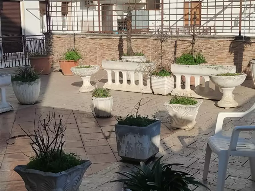 Immagine 4 di Appartamento in vendita  a Cerignola