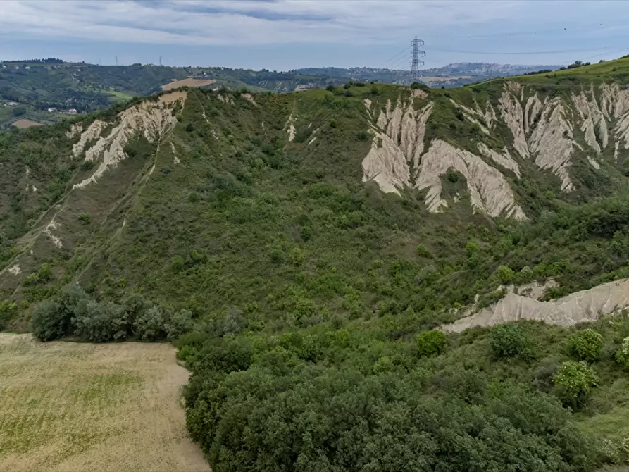 Immagine 5 di Terreno agricolo in vendita  a Bucchianico
