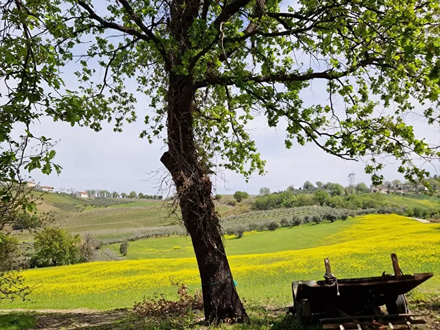 Immagine 21 di Terreno agricolo in vendita  a Bucchianico