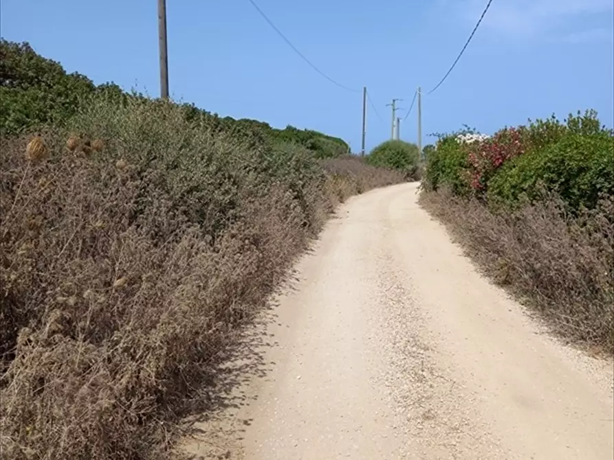 Immagine 15 di Terreno agricolo in vendita  in Biancareddu La Nurra 