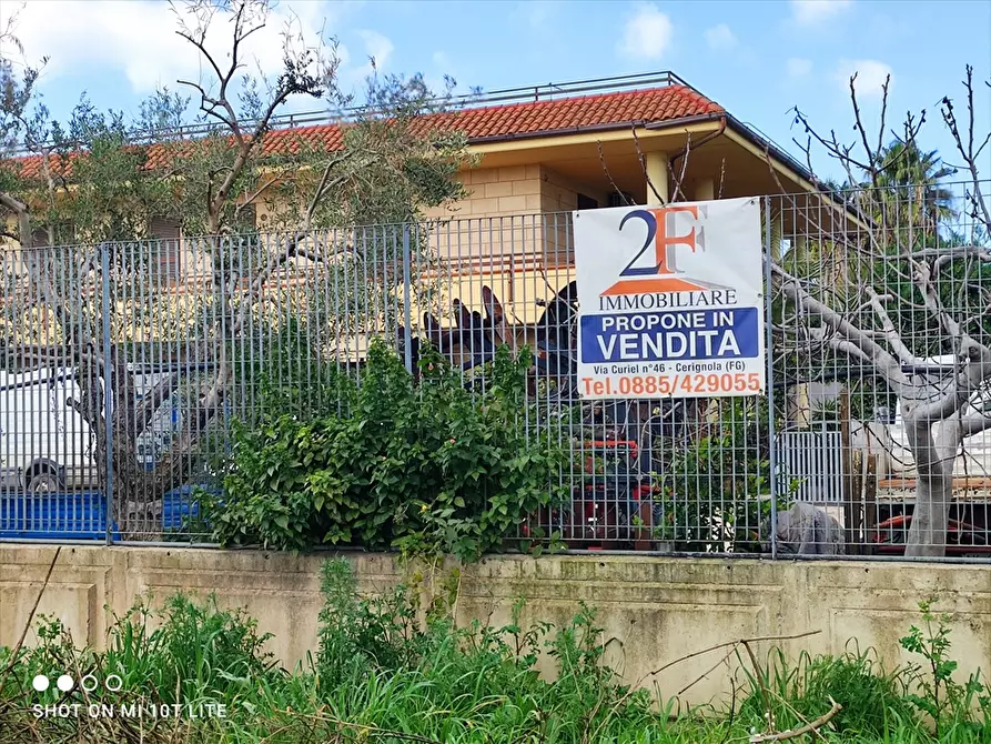 Immagine 1 di Capannone industriale in vendita  a Cerignola