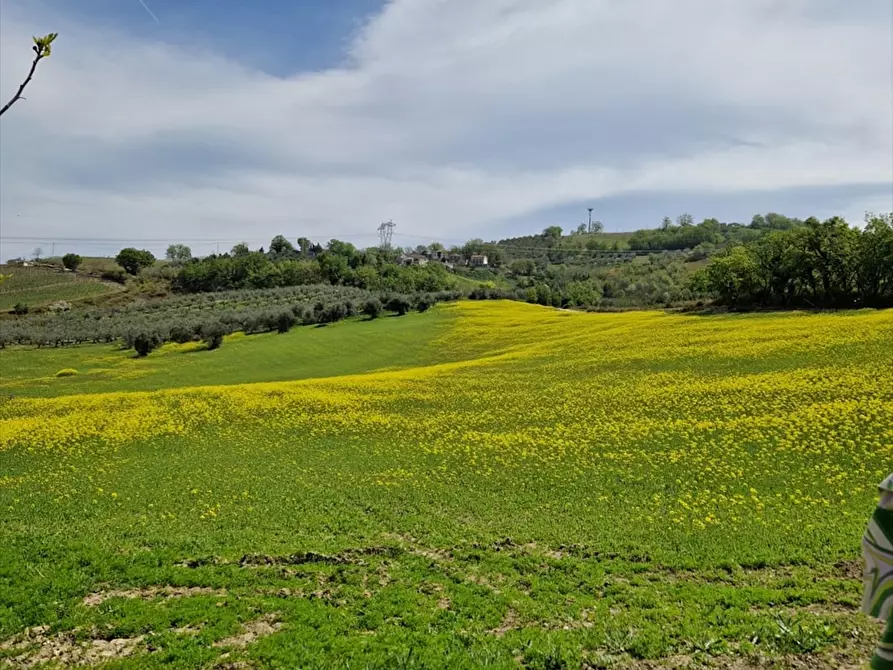Immagine 20 di Terreno agricolo in vendita  a Bucchianico