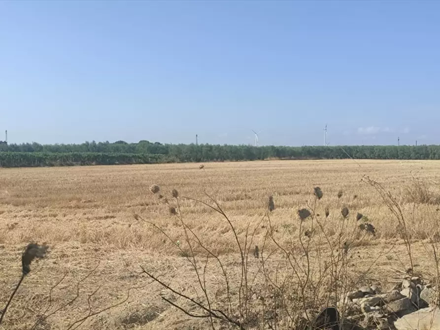 Immagine 1 di Terreno agricolo in vendita  in CONTRADA PAVONI  a Cerignola