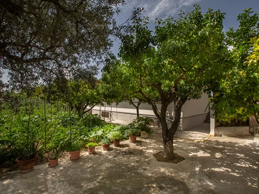 Immagine 26 di Villa in vendita  in C.da S. Cecilia,3 a Francavilla Al Mare