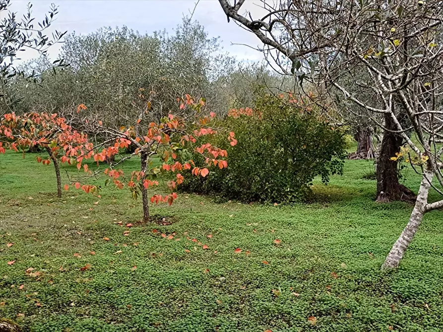 Immagine 7 di Casa indipendente in vendita  in Strada Vicinale Santa Maria di Lu Gardu n. 30/A a Sassari