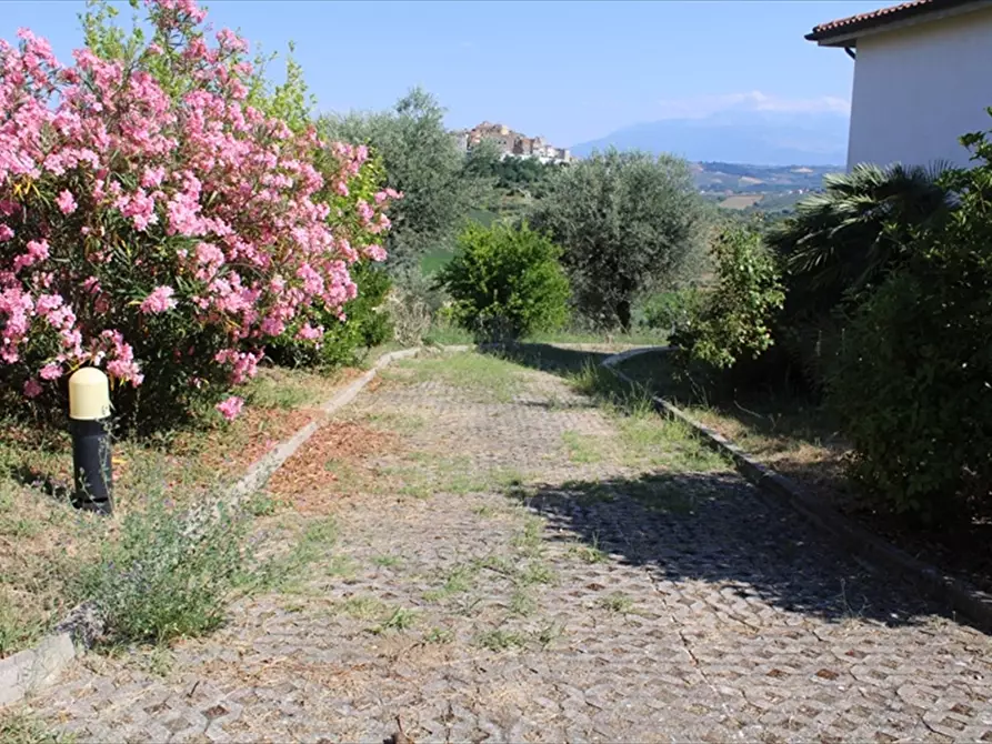 Immagine 19 di Casa indipendente in vendita  in Via Belvedere 27 a Collecorvino