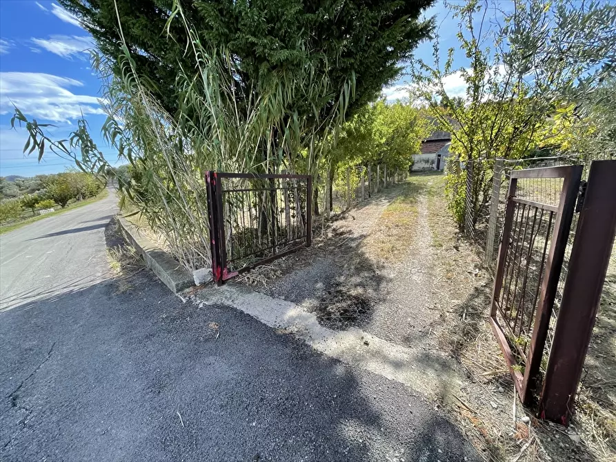 Immagine 2 di Rustico / casale in vendita  a Casalincontrada