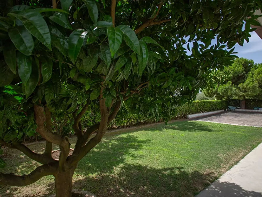 Immagine 27 di Villa in vendita  in C.da S. Cecilia,3 a Francavilla Al Mare