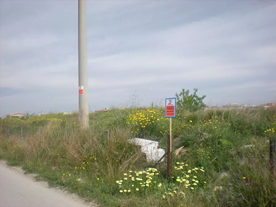 Immagine 4 di Terreno edificabile in vendita  in Via TEANO a Cerignola