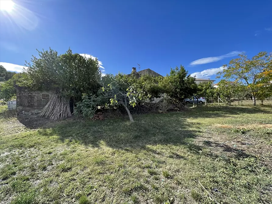Immagine 18 di Rustico / casale in vendita  a Casalincontrada