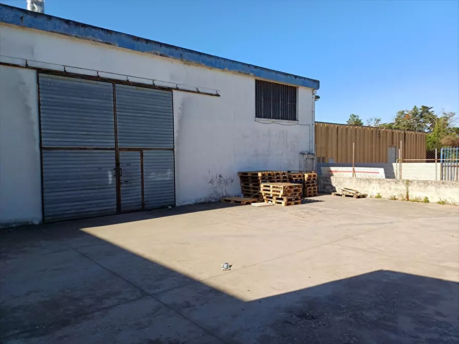 Immagine 9 di Capannone industriale in vendita  in Località Predda Niedda Strada 25 a Sassari