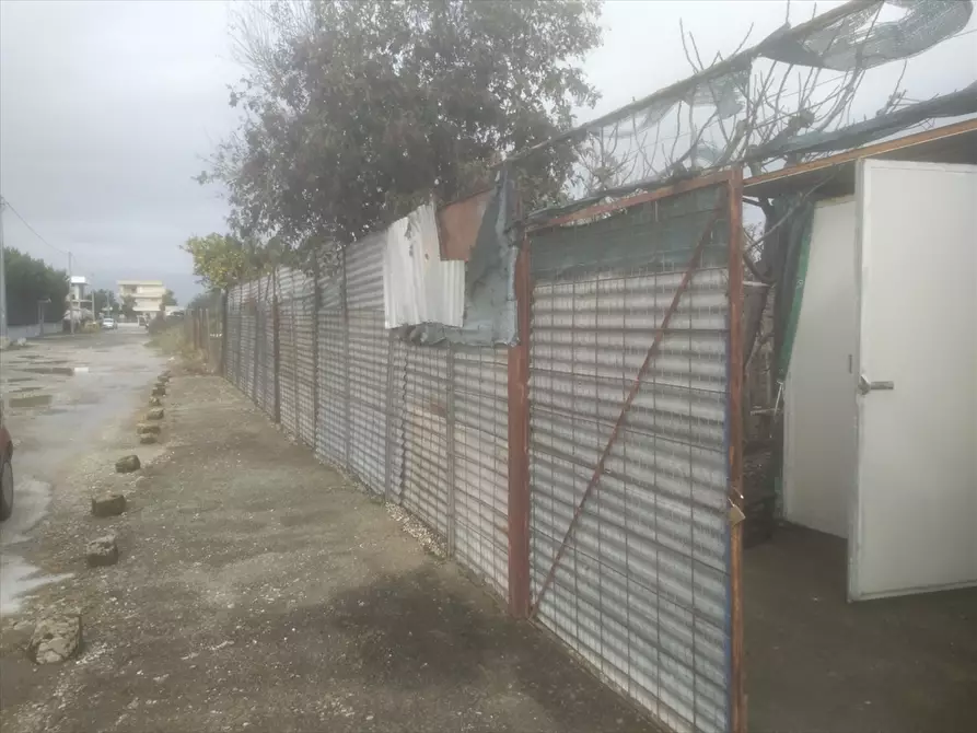 Immagine 10 di Terreno agricolo in vendita  in  TORRE QUARTO  a Cerignola