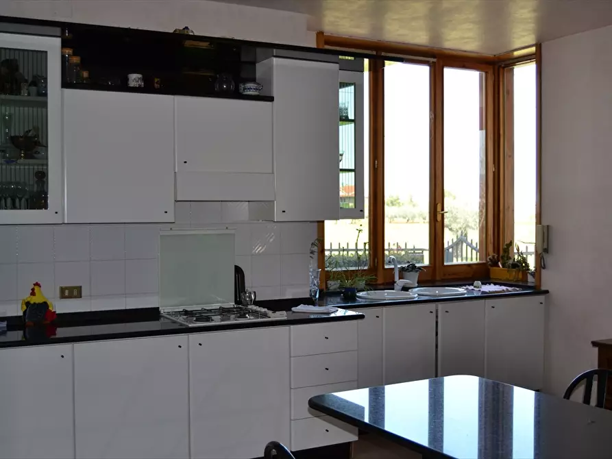 Immagine 5 di Villa in vendita  in Via Di Luzio a Cepagatti