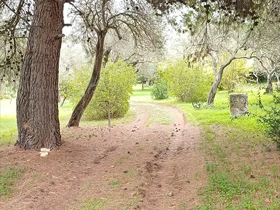 Immagine 3 di Casa indipendente in vendita  in Strada Vicinale Santa Maria di Lu Gardu n. 30/A a Sassari
