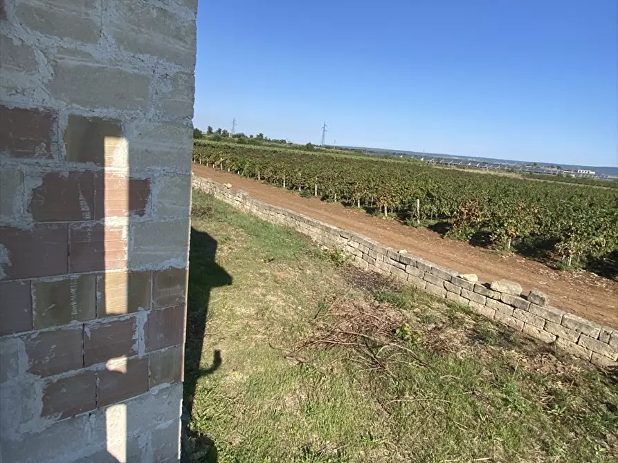 Immagine 3 di Villa in vendita  in contrada fogliaro a Crispiano