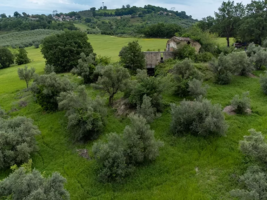 Immagine 14 di Terreno agricolo in vendita  a Bucchianico